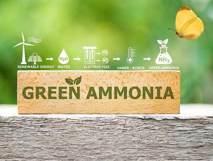 Masterclass abordó el uso del amoníaco como alternativa energética.